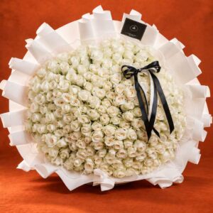 Ivory Noir (100 stems)