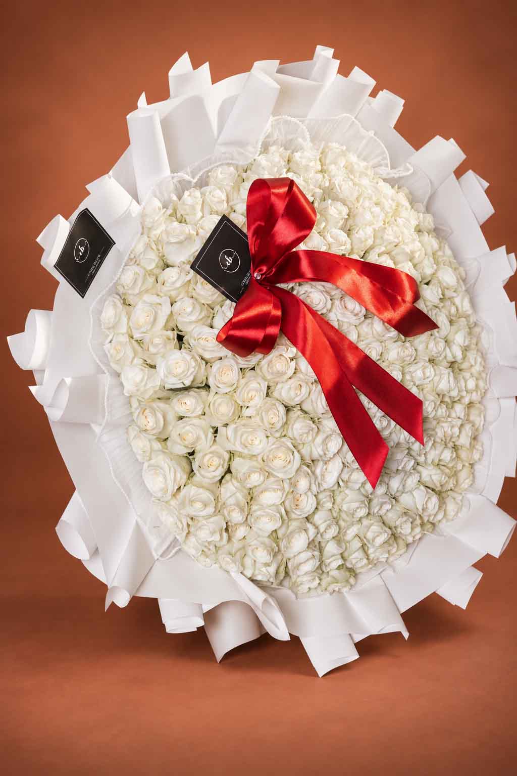 THE IVORY PROMISE