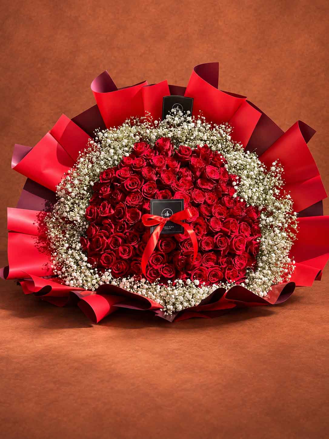 THE SCARLET HALO